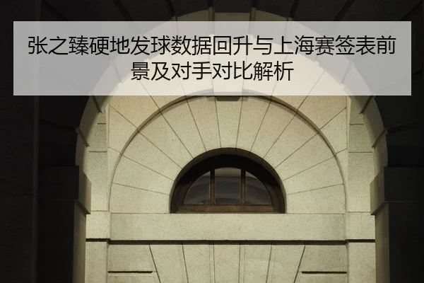 张之臻硬地发球数据回升与上海赛签表前景及对手对比解析