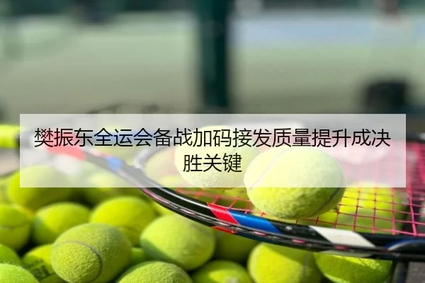 樊振东全运会备战加码接发质量提升成决胜关键